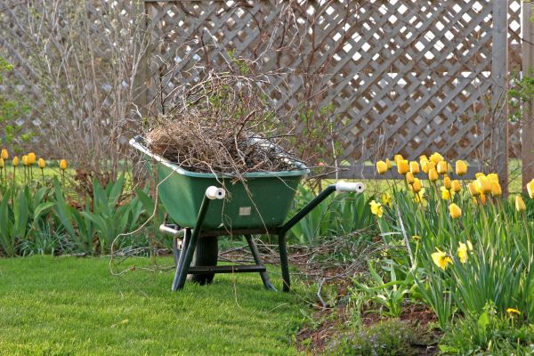 Flower Bed Cleanup Service in Poughkeepsie