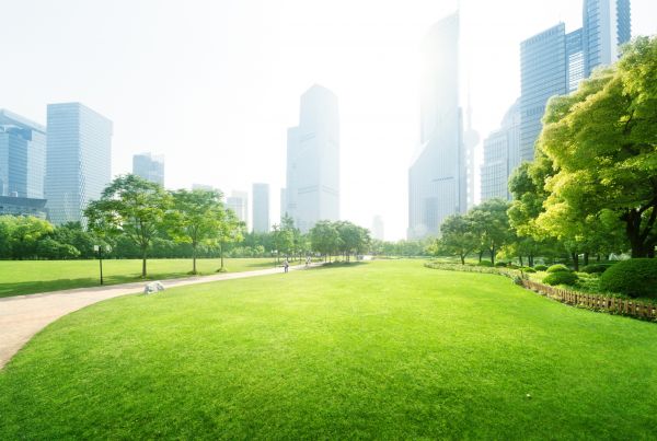 Commercial Landscape Maintenance in Poughkeepsie