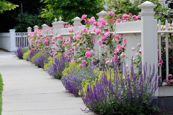 Garden Handyman Service in Poughkeepsie
