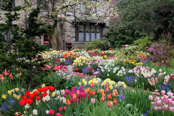 Garden Maintenance Service in Poughkeepsie