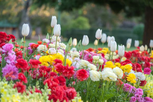 Gardening Service in Poughkeepsie