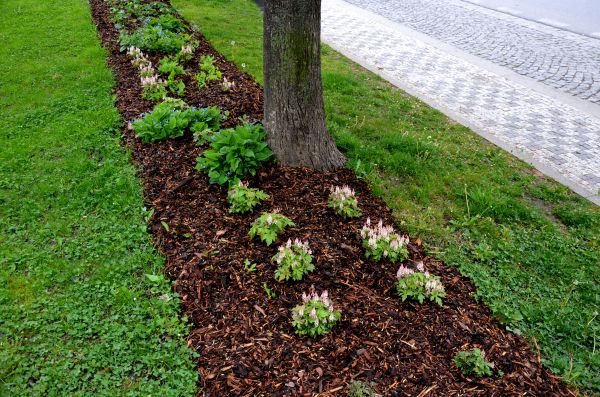 Mulch Replacement Service in Poughkeepsie