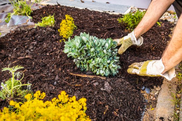 Weeding And Mulching in Poughkeepsie