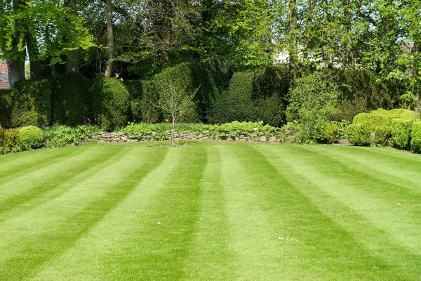 Lawn Renovation in Poughkeepsie