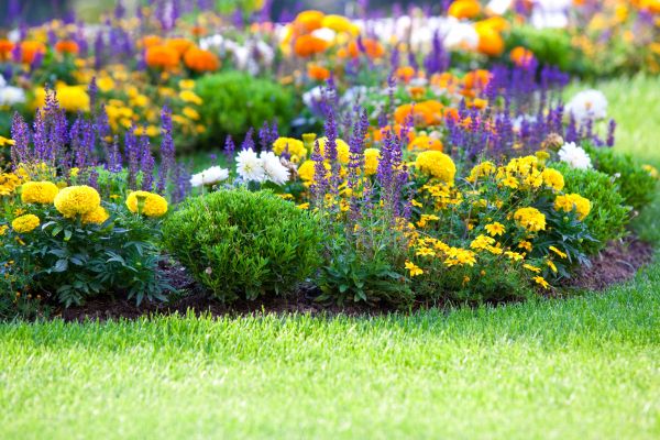 Garden Installation in Poughkeepsie