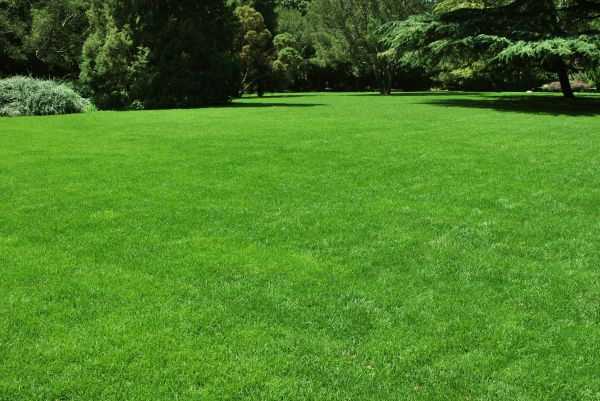 Lawn Landscaping in Poughkeepsie