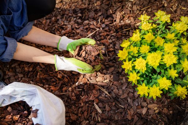 Garden Mulching in Poughkeepsie
