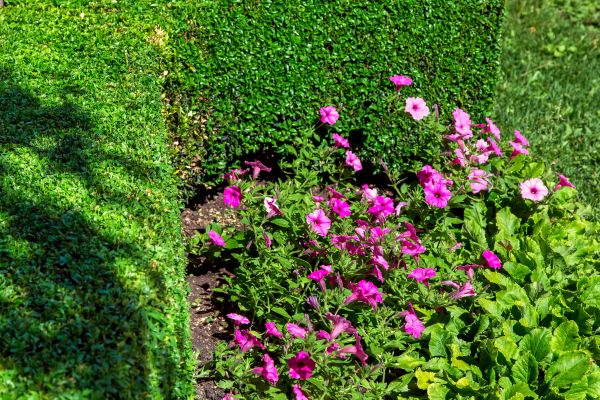 Softscaping Service in Poughkeepsie