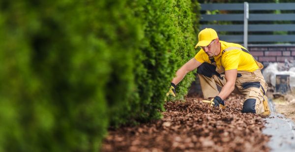 Cypress Mulch Installation in Poughkeepsie