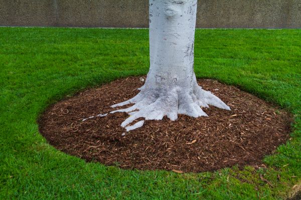Brown Mulch Installation in Poughkeepsie