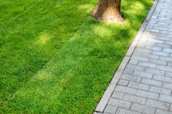 Border Stone Installation in Poughkeepsie