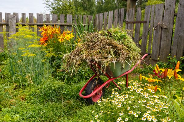 Garden Cleanup Service in Poughkeepsie