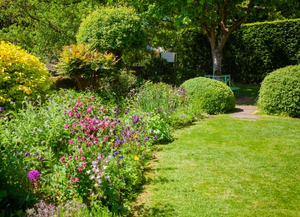 Yard Landscaping Service in Poughkeepsie