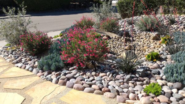 Xeriscape Landscaping in Poughkeepsie