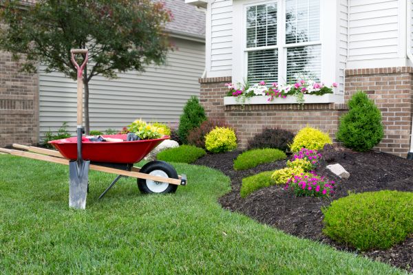 Tree And Shrub Planting in Poughkeepsie