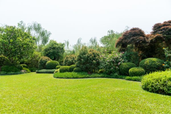 Tree Landscaping in Poughkeepsie
