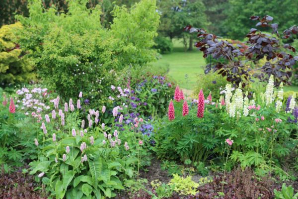 Flower Bed Planting in Poughkeepsie