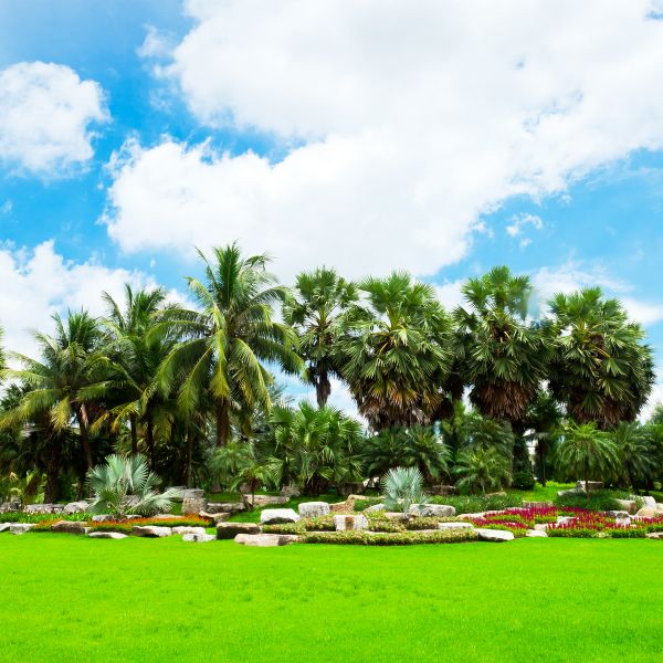 Tropical Landscaping in Poughkeepsie
