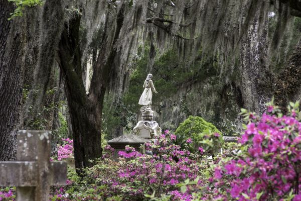 Cemetery Landscaping in Poughkeepsie