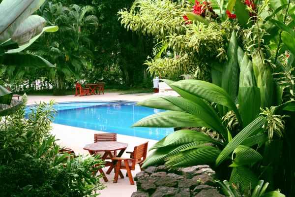 Tropical Garden Landscaping in Poughkeepsie