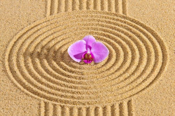Sand Garden Landscaping in Poughkeepsie
