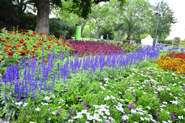 Perennials Planting in Poughkeepsie
