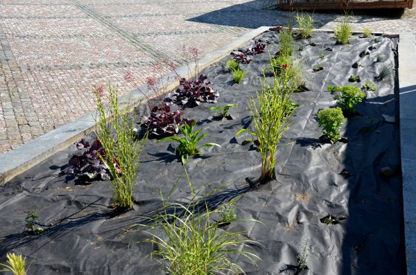 Landscape Fabric Installation in Poughkeepsie
