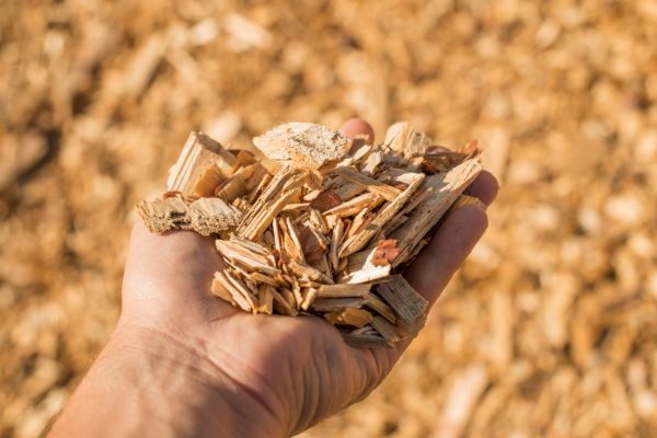Wood Chips Spreading in Poughkeepsie