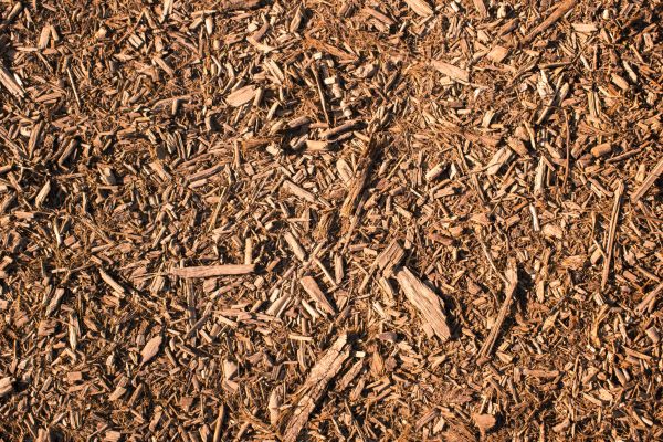 Wood Chips Removal in Poughkeepsie