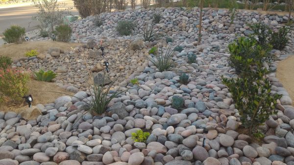 Yard Xeriscaping in Poughkeepsie