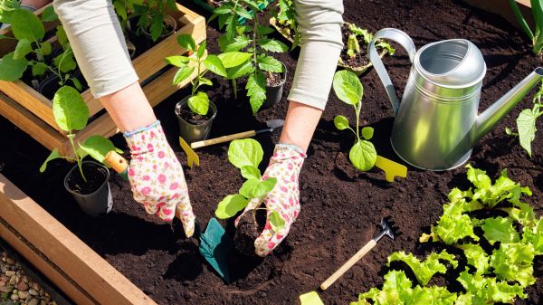 Garden Bed Installation in Poughkeepsie
