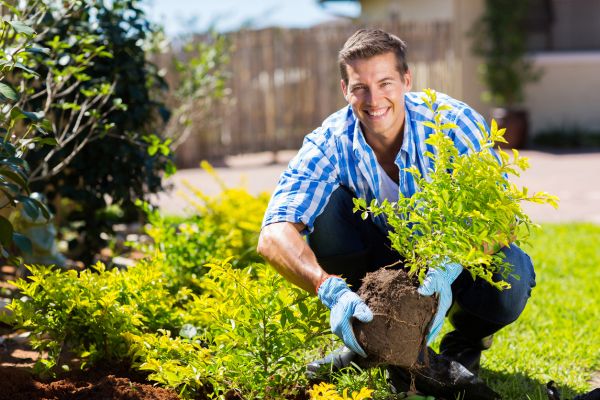 Shrub Landscaping in Poughkeepsie