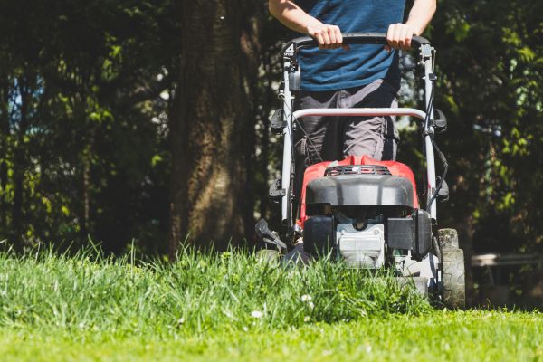 Garden Trimming Service in Poughkeepsie