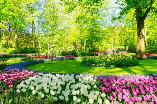 Flower Landscaping in Poughkeepsie