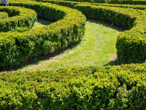 Bush Landscaping in Poughkeepsie