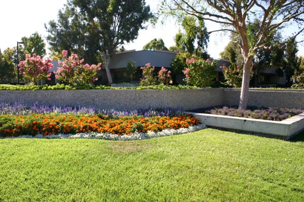 Commercial Landscape Service in Poughkeepsie