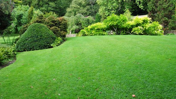 Commercial Landscape Design in Poughkeepsie