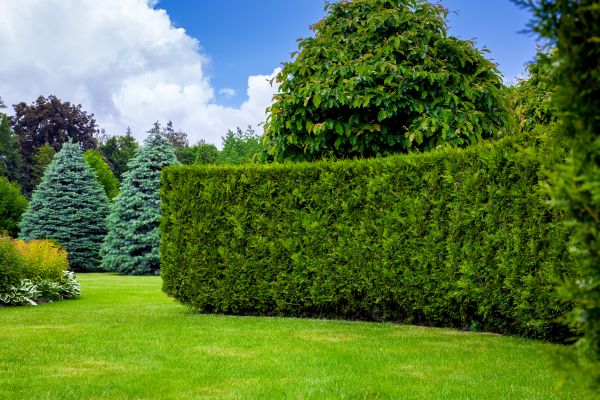 Hedge Landscaping in Poughkeepsie