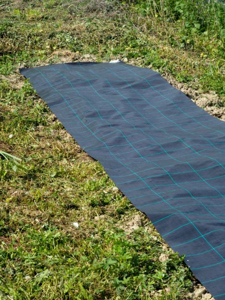 Weed Suppressant Installation in Poughkeepsie