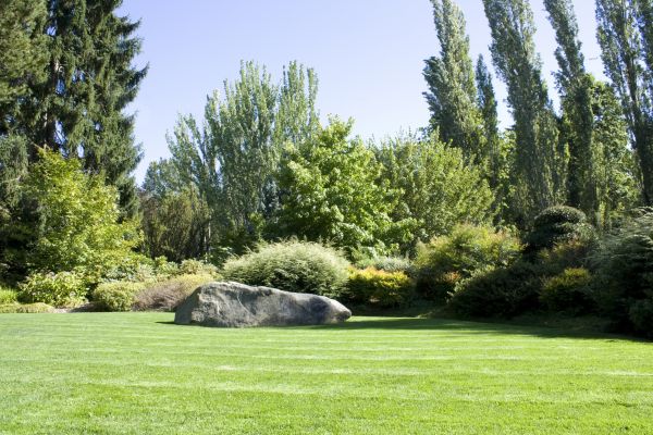 Yard Enlargement in Poughkeepsie