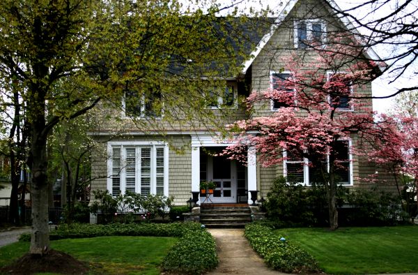Ornamental Tree Planting in Poughkeepsie