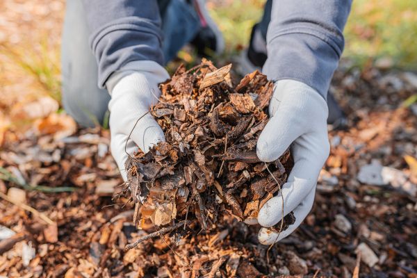Shredded Mulch Installation in Poughkeepsie