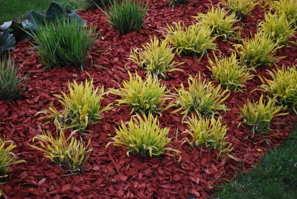 Red Mulch Installation in Poughkeepsie