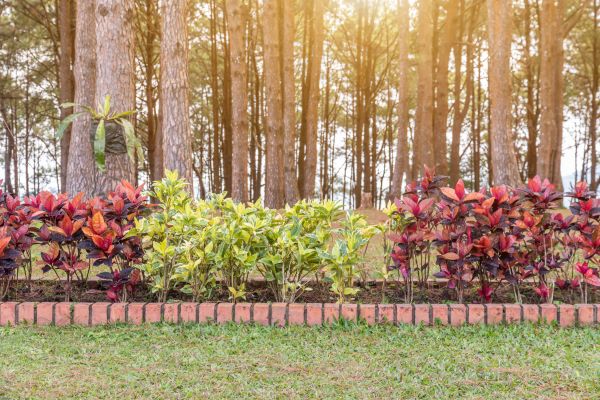 Small Garden Landscaping in Poughkeepsie