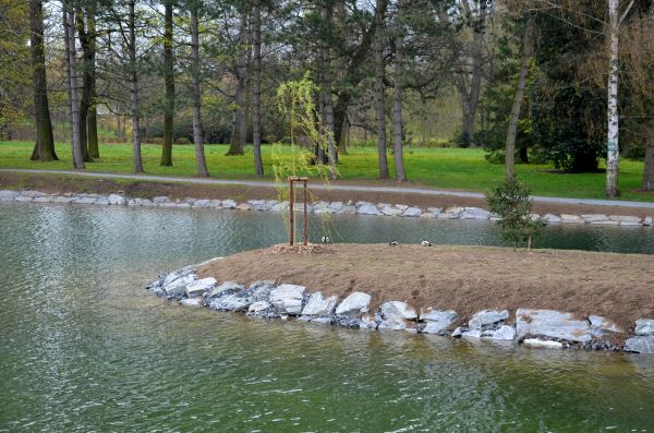 Pond Landscaping Service in Poughkeepsie