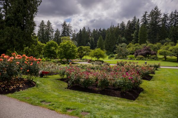 Flower Garden Landscaping in Poughkeepsie
