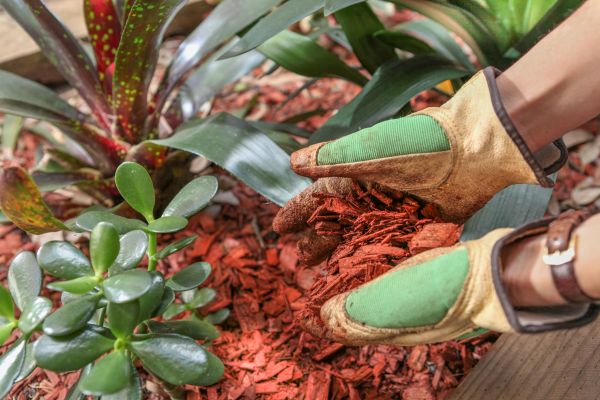 Residential Mulching in Poughkeepsie