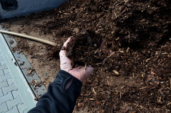 Condo Mulching in Poughkeepsie