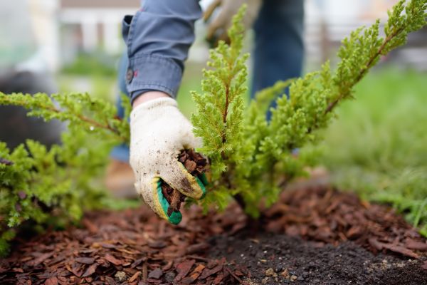 Church Mulching in Poughkeepsie