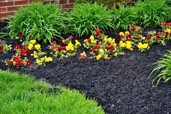 Apartment Mulching in Poughkeepsie